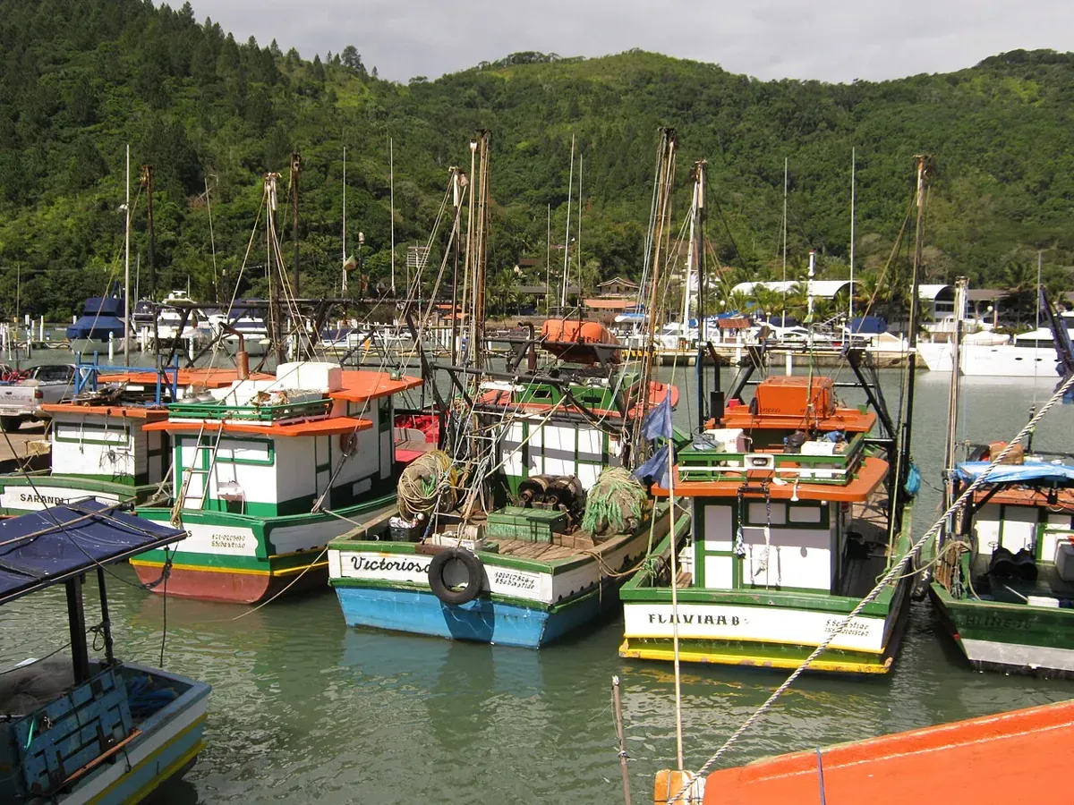 Barcos de pesca coloridos atracados no Saco da Ribeira